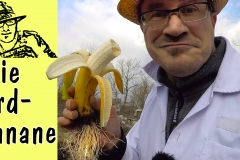 Vorlage_Teaser Erdbanane