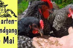 Vorlage_Teaser GRG Mai 2018